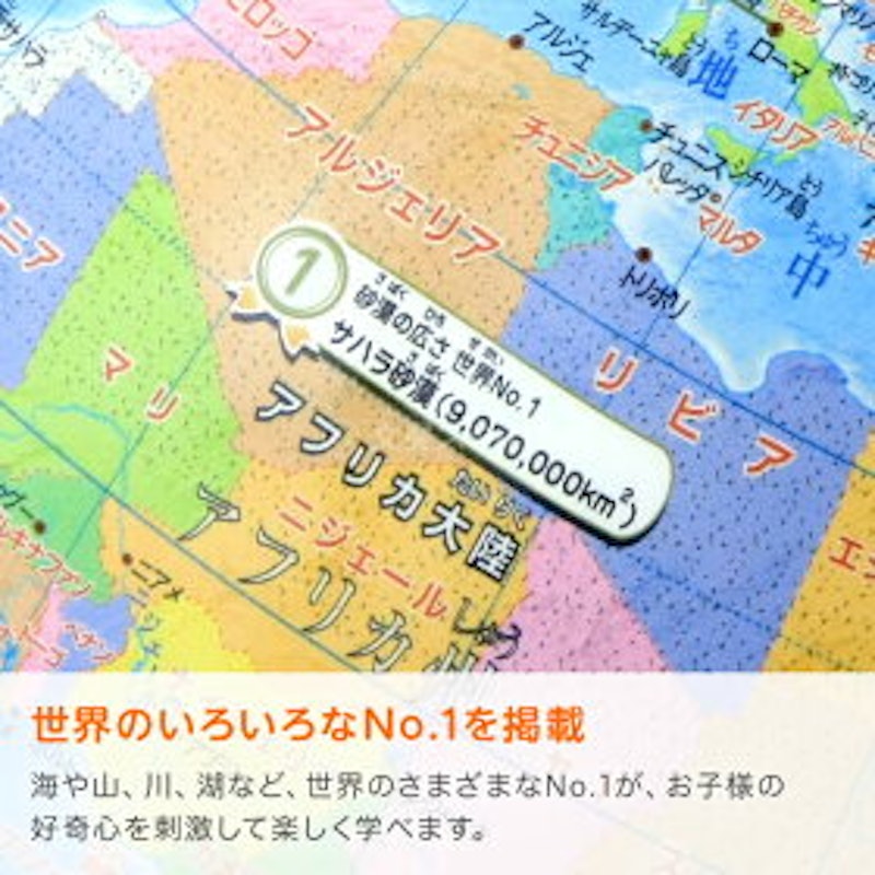 小学生の地球儀 行政タイプ 20cm球 6