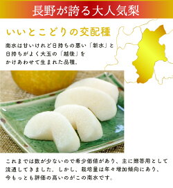 南水梨 2