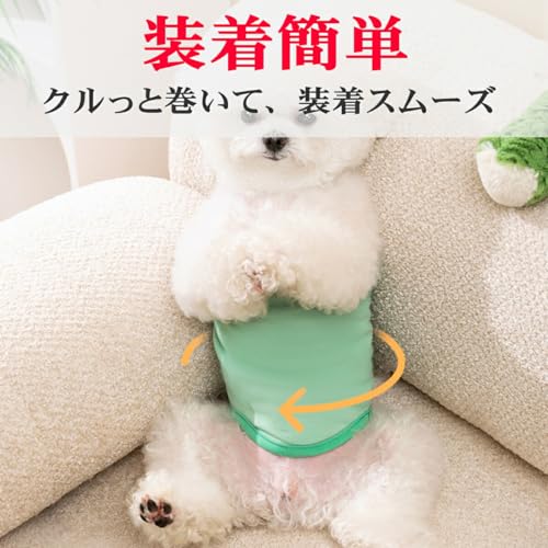 マナーベルト 3