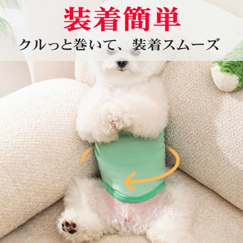 マナーベルト 3