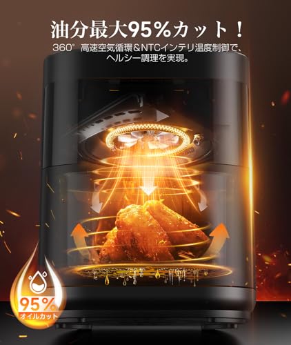 電気フライヤー 2