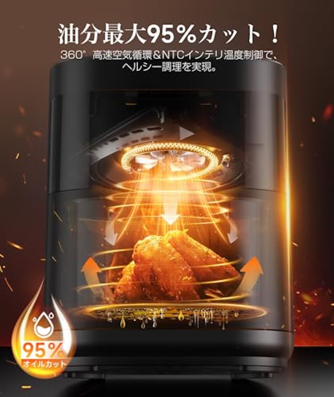電気フライヤー 2