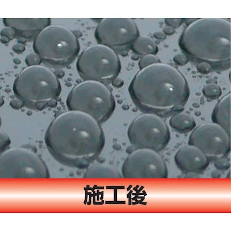 撥水シャンプーECO100 2