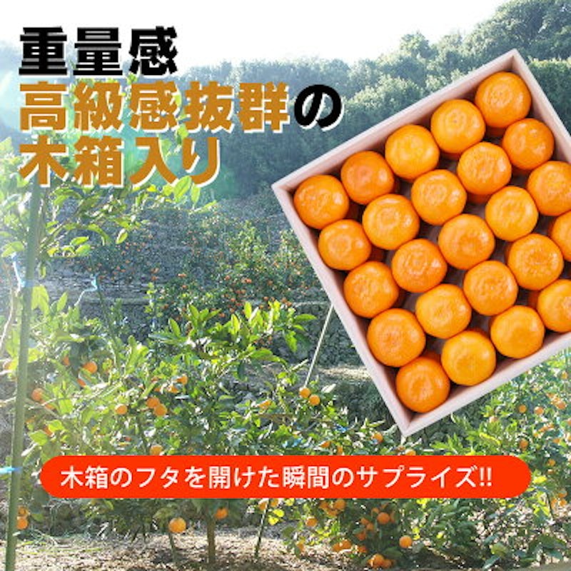 木箱入有田みかん 2
