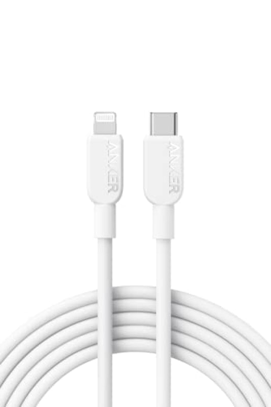 310 USB-C & ライトニング ケーブル 1