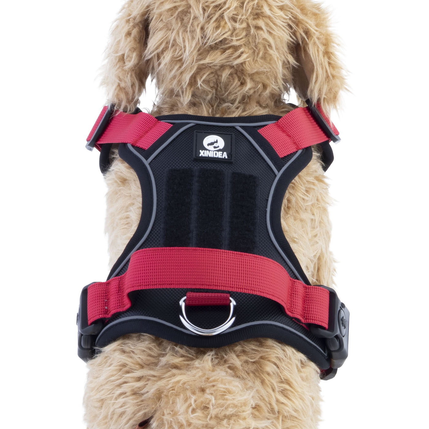 犬用ハーネスセット 4
