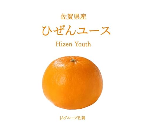 ひぜんユース 2