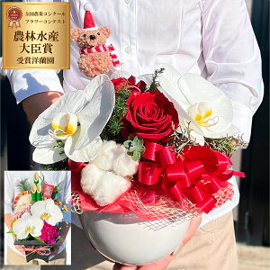 新築祝い向けの花ギフトのおすすめ人気ランキング【2026年】 2