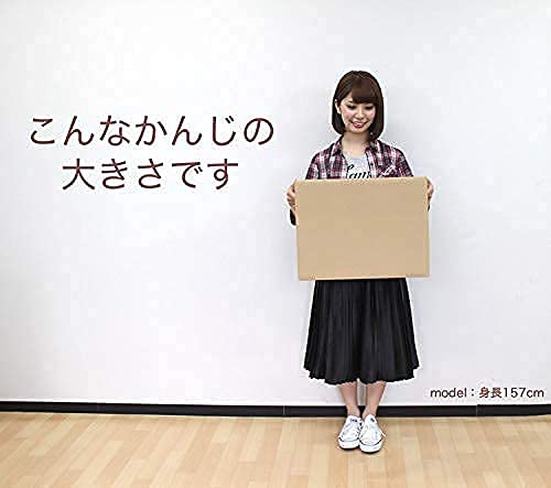 ダンボール 120サイズ  2