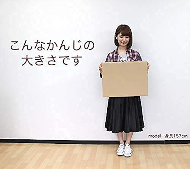ダンボール 120サイズ 2