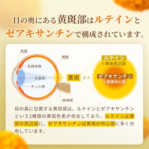 ルテイン＆ゼアキサンチン5：1比率 3