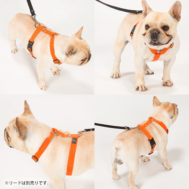 爆売り Sleepypod マーチンゲールドッグハーネス Sサイズ パワーリーシュ Mサイズ 小型犬 ハーネス リード 犬 抜け ない 抜けない デザイン 散歩 グッズ 小型犬用 おしゃれ ダックス シュナウザー パグ 柴犬 Fucoa Cl