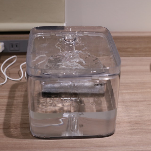 Npet ペット自動給水器 猫 中小犬用を他商品と比較 口コミや評判を実際に使ってレビューしました Mybest Npet ペット自動給水器 猫 中小犬用を他商品と比較 口コミや評判を実際に使ってレビューしました Mybest