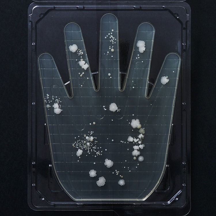 ミヨシ石鹸 無添加せっけん泡のハンドソープを全40商品と比較 口コミや評判を実際に使ってレビューしました Mybest