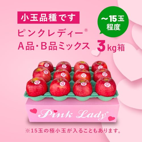 ピンクレディー 3