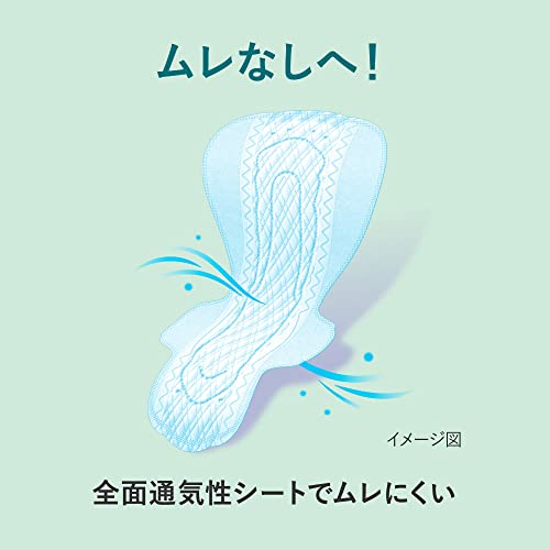 スリムガード 300 羽つき  5