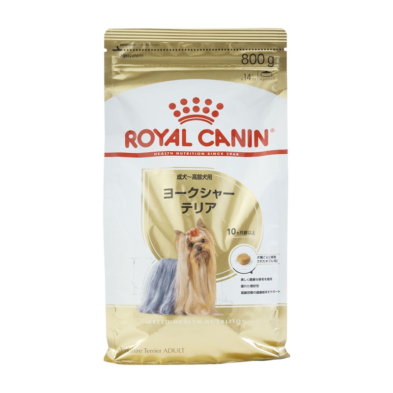 ヨークシャーテリア 成犬~高齢犬用 1