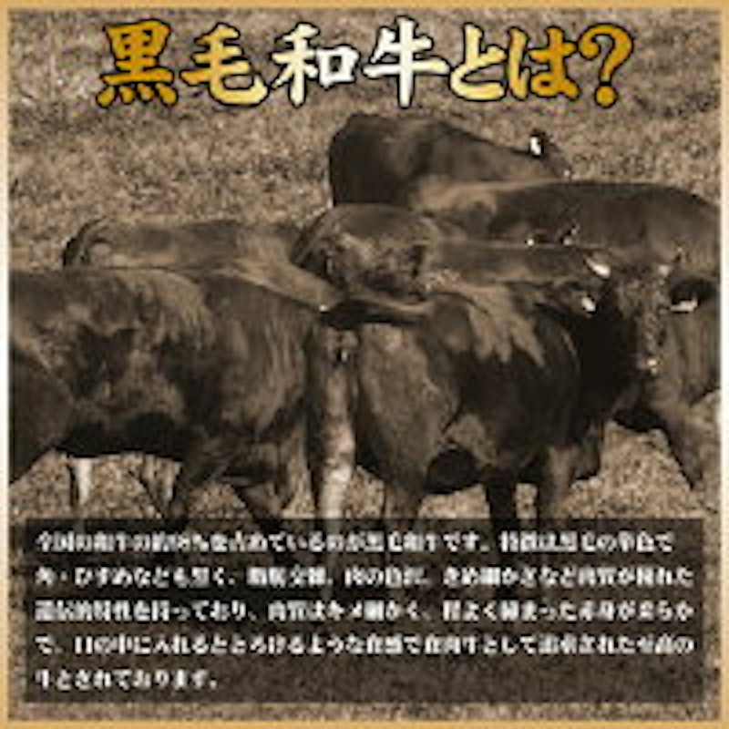 お肉重ギフト 廉 5