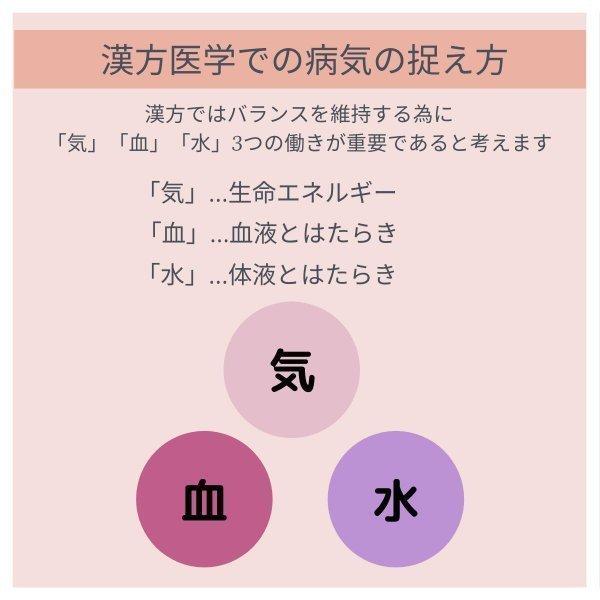 防已黄耆湯 2