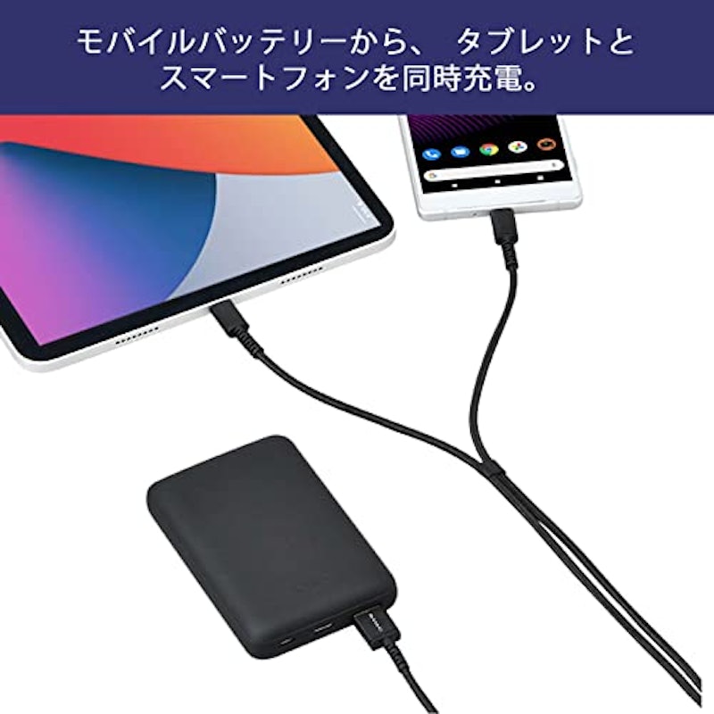 Y字USBケーブル AtoC+C 4