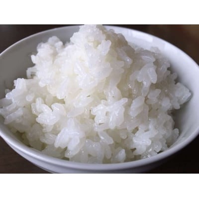 桑原農産のお米  こしひかり 発送月固定定期便 4