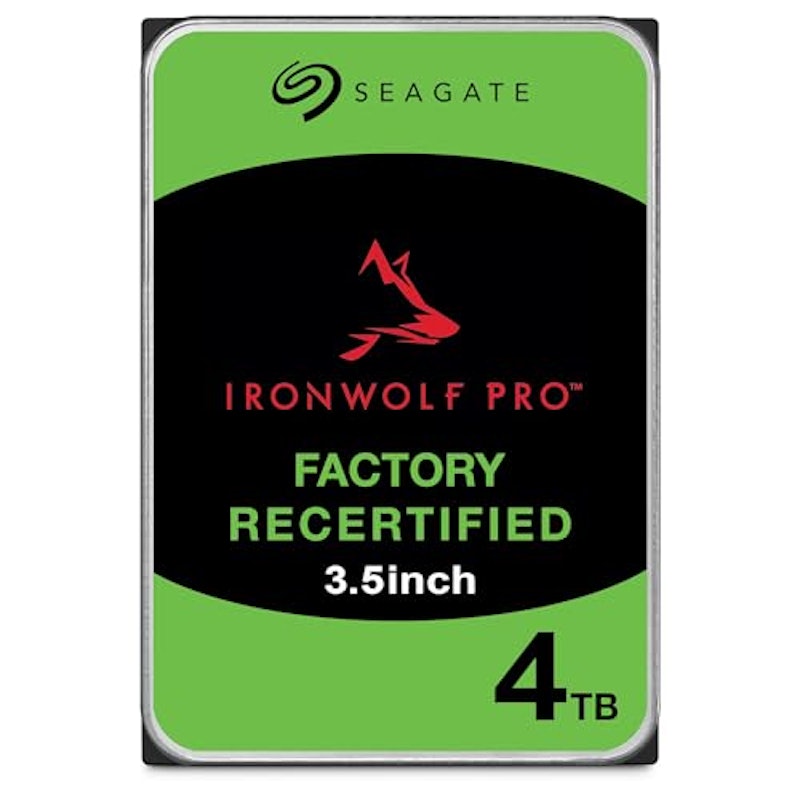 IronWolf Pro 1