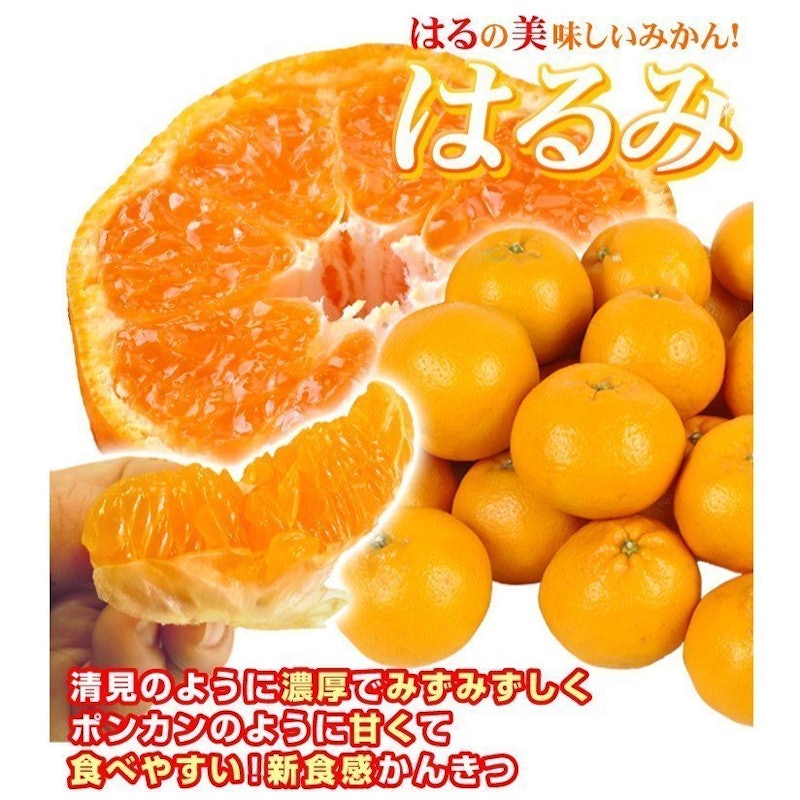 訳ありはるみ 2