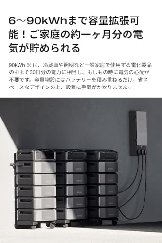 DELTA Pro Ultra スタンダードセット 3
