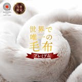 発熱毛布のおすすめ人気ランキング【2026年8月】 5