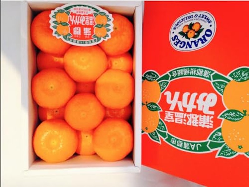 愛知産 蒲郡温室みかん 1