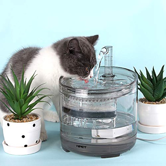 21年 猫用自動給水器のおすすめ人気ランキング14選 Mybest