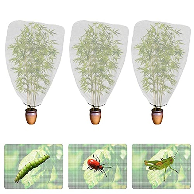 3枚入り 植物保護カバー 3