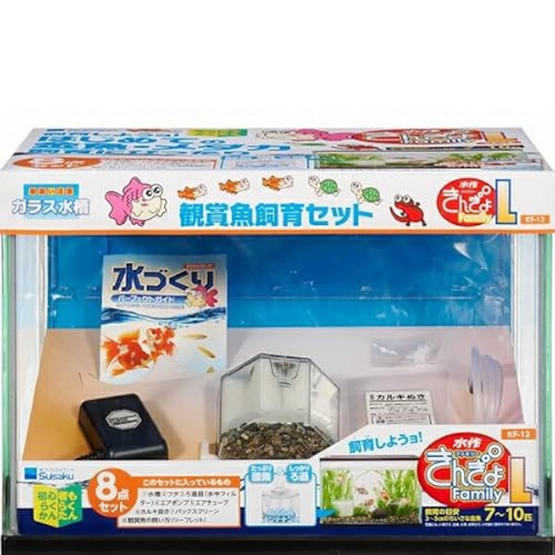 きんぎょファミリー 1