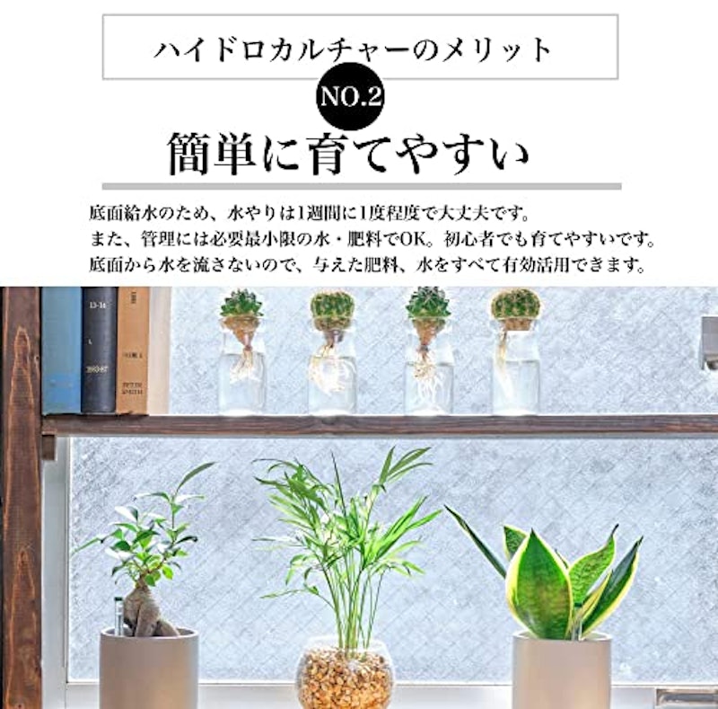 サンスベリア モンステラ テーブルヤシ 3点セット 4