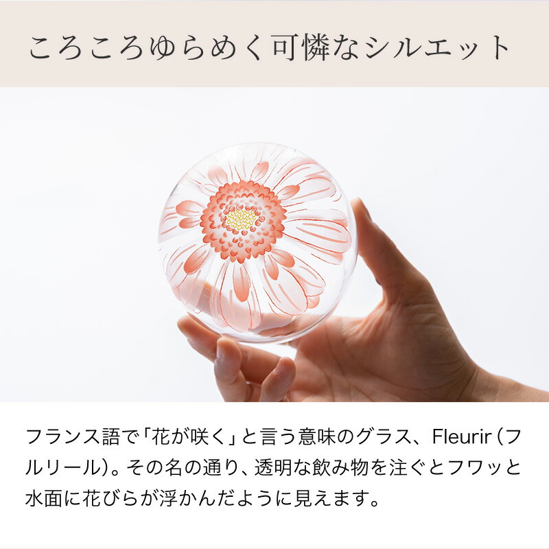 ガーベラグラス 2