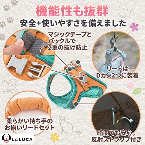 ハーネスリードセット 3