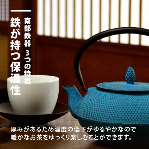 のレン ロジ・アソシエイツ 南部鉄器 急須 カラー ドーム霰 4
