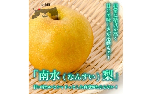 南水梨 1