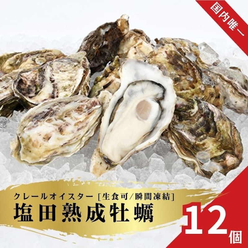 クレールオイスター 1