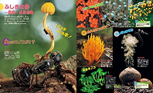 講談社の動く図鑑MOVE 植物 4