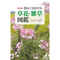 21年 植物図鑑のおすすめ人気ランキング15選 Mybest 21年 植物図鑑のおすすめ人気ランキング15選 Mybest