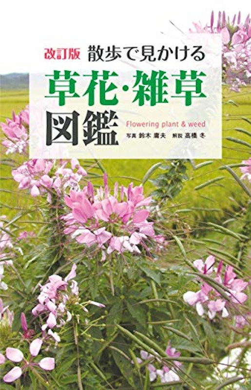 散歩で見かける草花・雑草図鑑 1