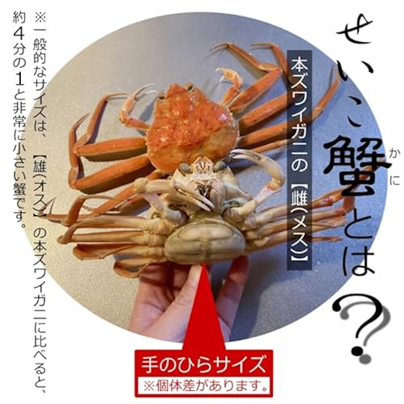 せいこ蟹 4