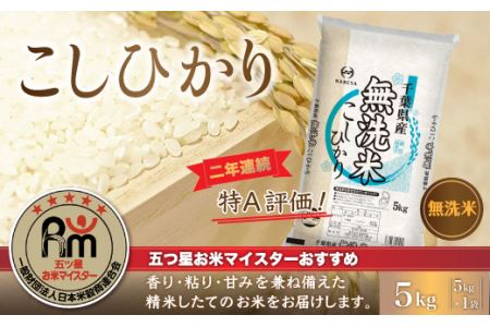 千葉県産コシヒカリ 無洗米 1