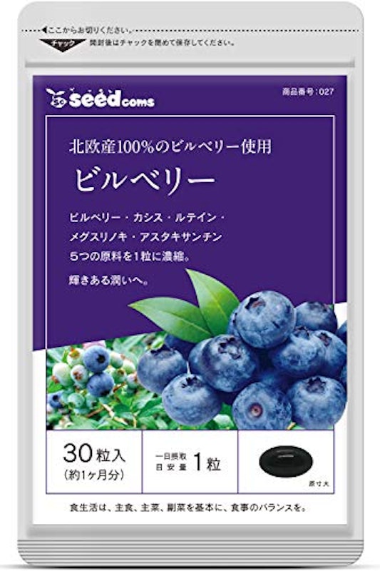 ビルベリー 1