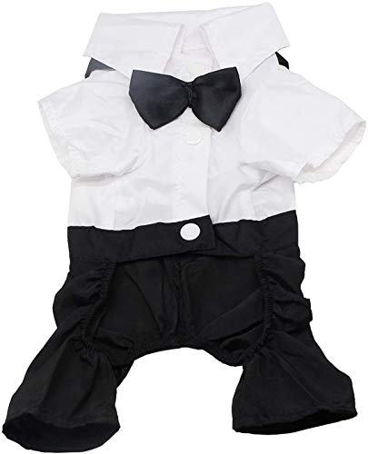 犬用タキシード 5枚目