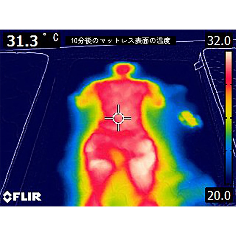 極厚 11