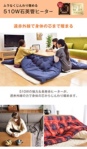 こたつ 3