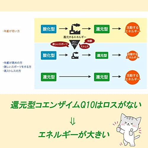 2022年】コエンザイムQ10サプリのおすすめ人気ランキング29選 | mybest