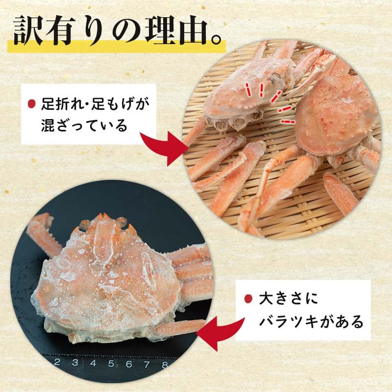 浜茹でオオズワイガニ 6